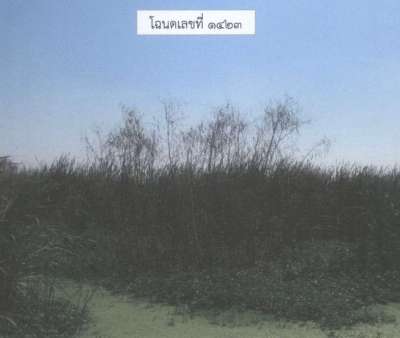 ที่ดิน 4-3-91ไร่ ต.บางเพรียง อ.บางบ่อ จ.สมุทรปราการ 0